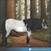 Horse Color:Grullo Roan Splash Frame 