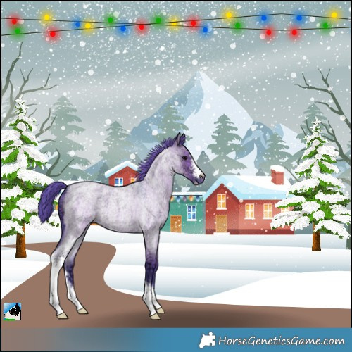 Horse Color:Watercolor Grullo Ice Roan Sabino Appaloosa 