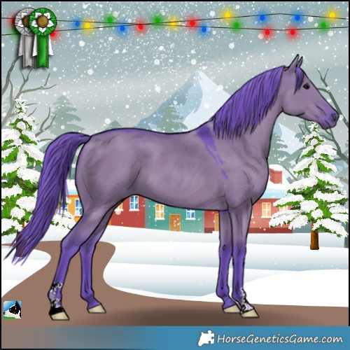 Horse Color:Watercolor Grullo 