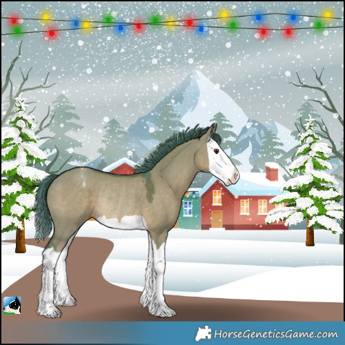 Horse Color:Watercolor Liver Red Dun Splash Appaloosa Rabicano 