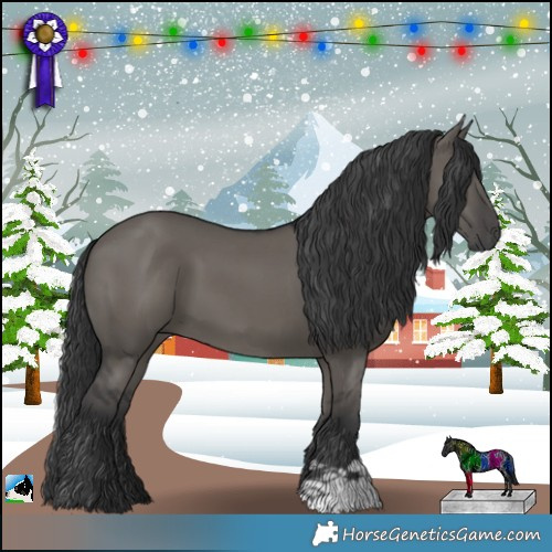 Horse Color:Grullo 
