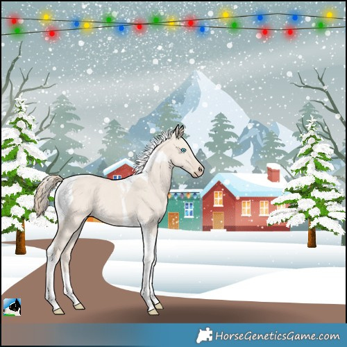 Horse Color:Smoky Creme Dun Tobiano Rabicano 