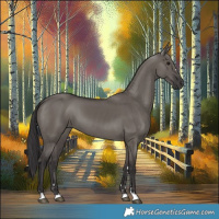 Horse Color:Smoky Grullo 