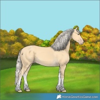 Horse Color:White Spotted Gold Cream Champagne 