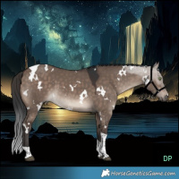 Horse Color:White Spotted Brown Dun Mushroom Tobiano