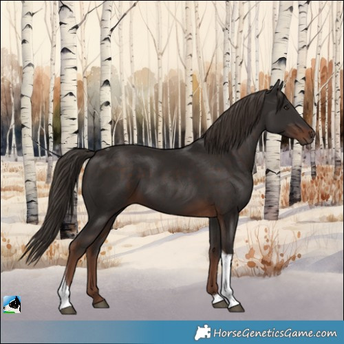 Horse Color:Liver Chestnut Tobiano