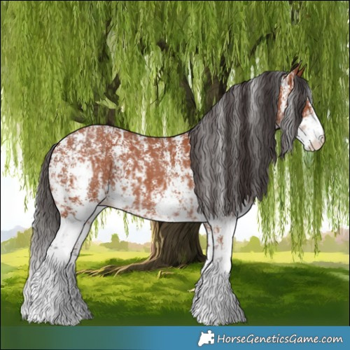 Horse Color:Bay Sabino Rabicano  and Bay Sabino Rabicano 