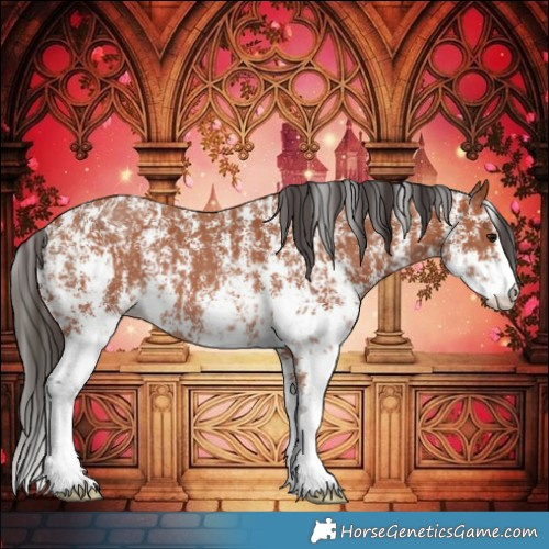 Horse Color:Bay Sabino Rabicano  and Bay Sabino Rabicano 