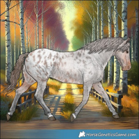 Horse Color:Bay Roan Blanket 