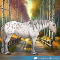 Horse Color:Bay Roan Blanket 