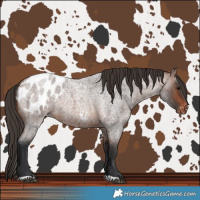 Horse Color:Brown Roan Blanket 