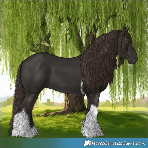 Horse Color:Liver Chestnut Tobiano 