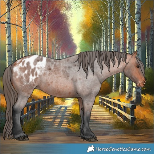 Horse Color:Bay Roan Blanket 
