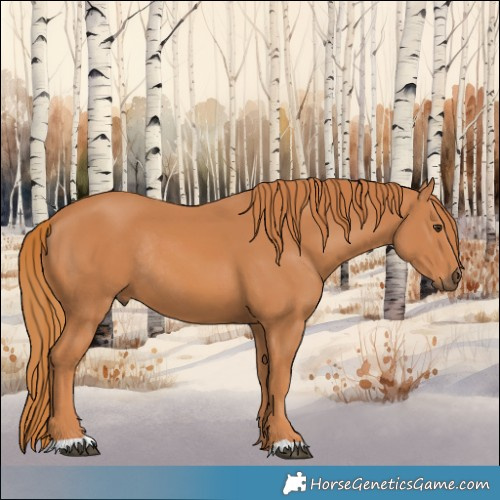 Horse Color:Chestnut Rabicano 