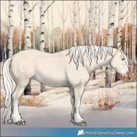 Horse Color:Cremello 