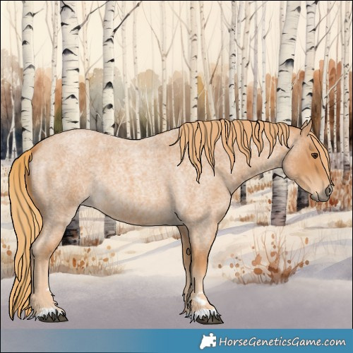 Horse Color:Red Roan 