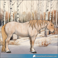 Horse Color:Red Roan 