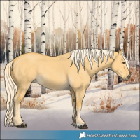 Horse Color:Palomino Dun 