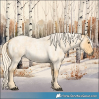 Horse Color:Palomino Roan Rabicano 