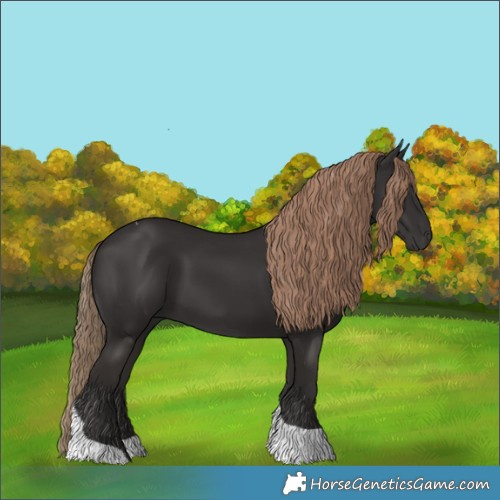 Horse Color:Liver Chestnut Tobiano