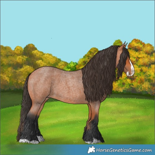 Horse Color:Bay Roan Splash 
