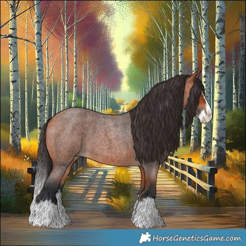 Horse Color:Bay Roan Splash 
