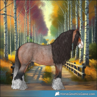 Horse Color:Bay Roan Splash