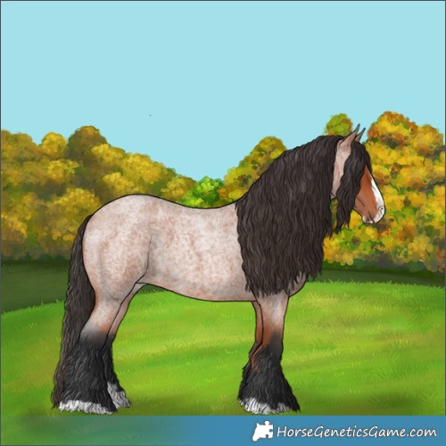 Horse Color:Bay Roan Splash 