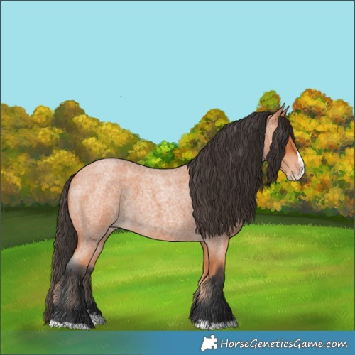 Horse Color:Bay Roan Splash