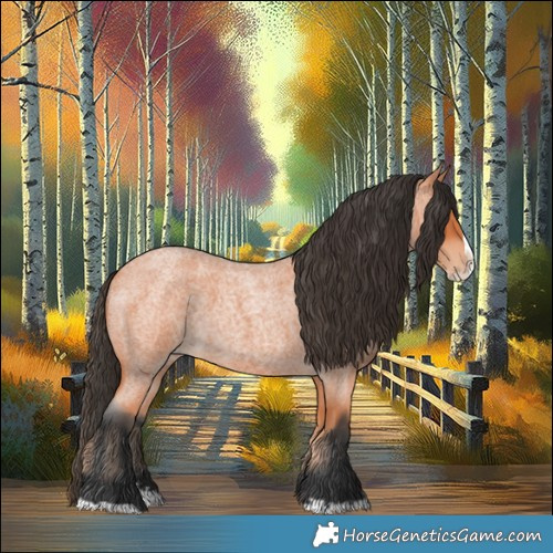 Horse Color:Bay Roan Splash 