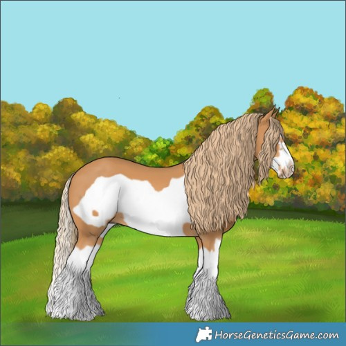Horse Color:Chestnut Splash Frame 
