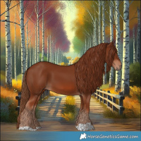 Horse Color:Chestnut 