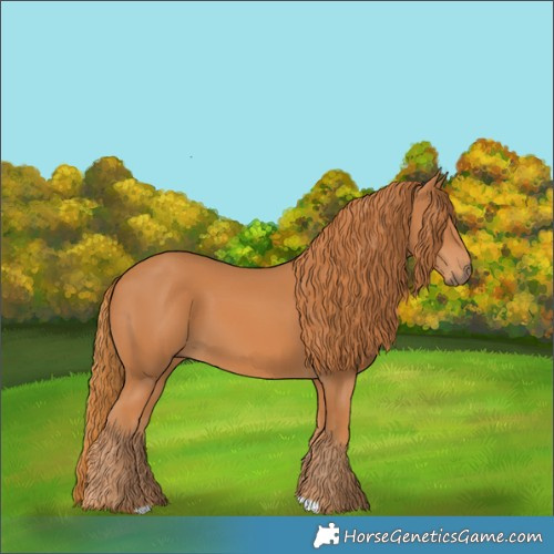 Horse Color:Chestnut 