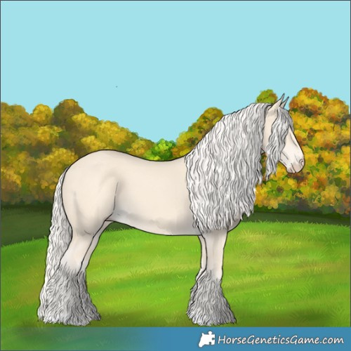 Horse Color:Cremello 