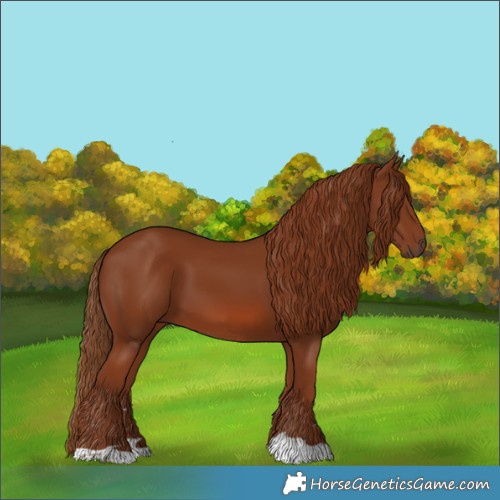 Horse Color:Chestnut 