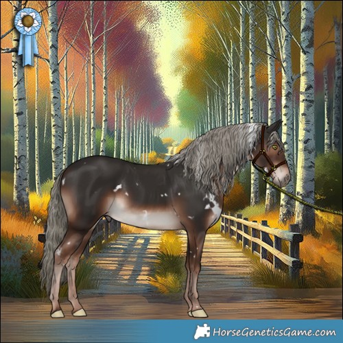 Horse Color:White Spotted Liver Chestnut Mushroom 
