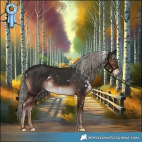 Horse Color:White Spotted Liver Chestnut Mushroom