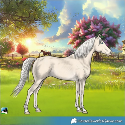 Horse Color:Cremello 