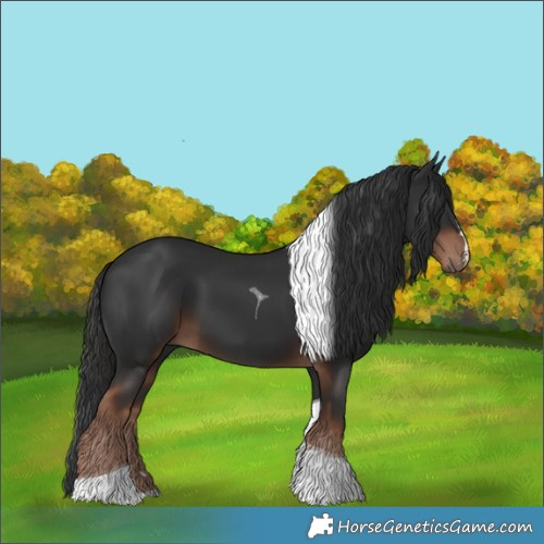 Horse Color:Liver Chestnut Tobiano