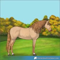 Horse Color:Red Dun 