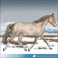 Horse Color:White Spotted Chocolate Palomino Roan Dun Mushroom Rabicano 