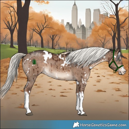 Horse Color:White Spotted Liver Red Dun Mushroom Brindle 