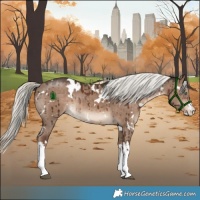 Horse Color:White Spotted Liver Red Dun Mushroom Brindle 