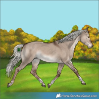 Horse Color:Liver Red Dun Mushroom Sabino Tobiano 