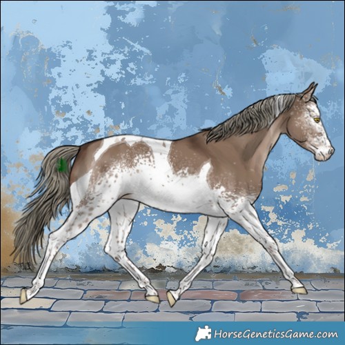 Horse Color:White Spotted Liver Red Dun Mushroom Tobiano 