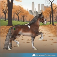 Horse Color:White Spotted Liver Chestnut Mushroom Tobiano 