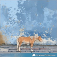 Horse Color:Gray Cremello Sabino Tobiano Rabicano