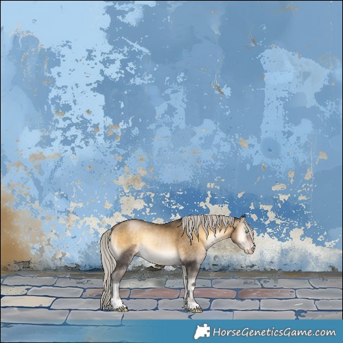 Horse Color:Gray White Spotted Silver Buckskin Pearl Onyx 