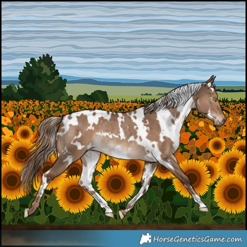Horse Color:White Spotted Liver Red Dun Rabicano 