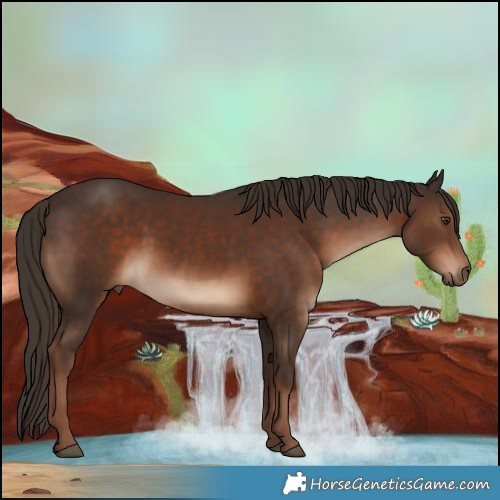 Horse Color:White Spotted Liver Chestnut 